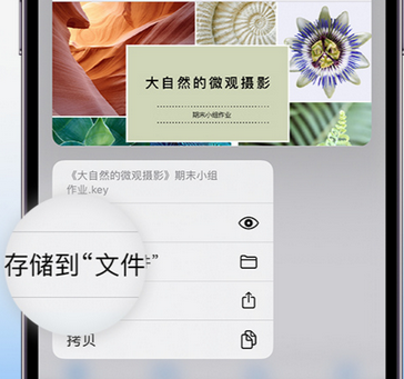 湘桥apple维修中心分享iPhone文件应用中存储和找到下载文件