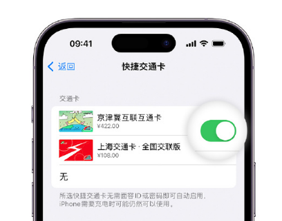 湘桥apple维修点分享iPhone上更换Apple Pay快捷交通卡手绘卡面 