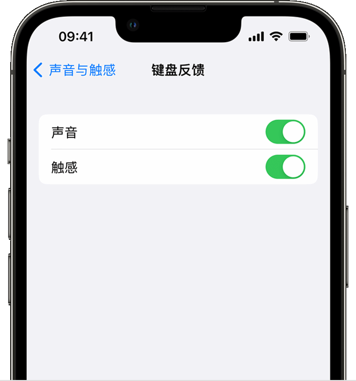 湘桥苹果14维修店分享如何在 iPhone 14 机型中使用触感键盘 