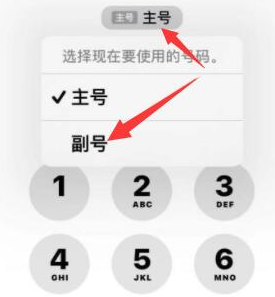 湘桥苹果14维修店分享iPhone 14 Pro Max使用副卡打电话的方法 