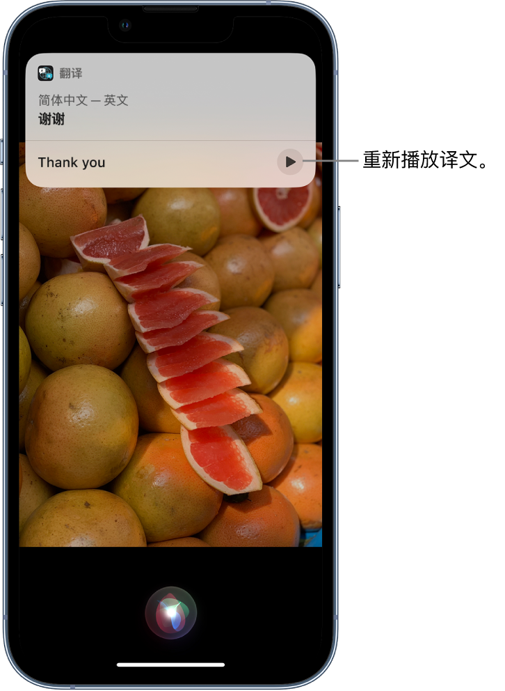 湘桥苹果14维修分享 iPhone 14 机型中使用 Siri：了解 Siri 能帮你做什么 