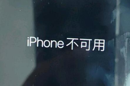 湘桥苹果服务网点分享锁屏界面显示“iPhone 不可用”如何解决 