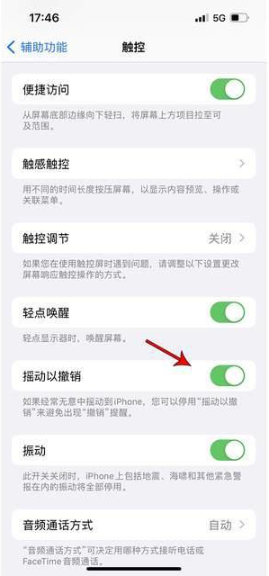 湘桥苹果手机维修分享iPhone手机如何设置摇一摇删除文字 